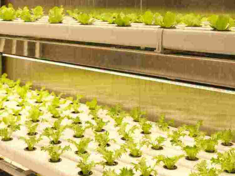 酷图天地 - 中华人民共和国国防部