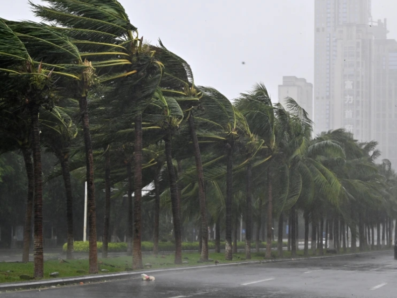 8月需重点关注哪些极端天气