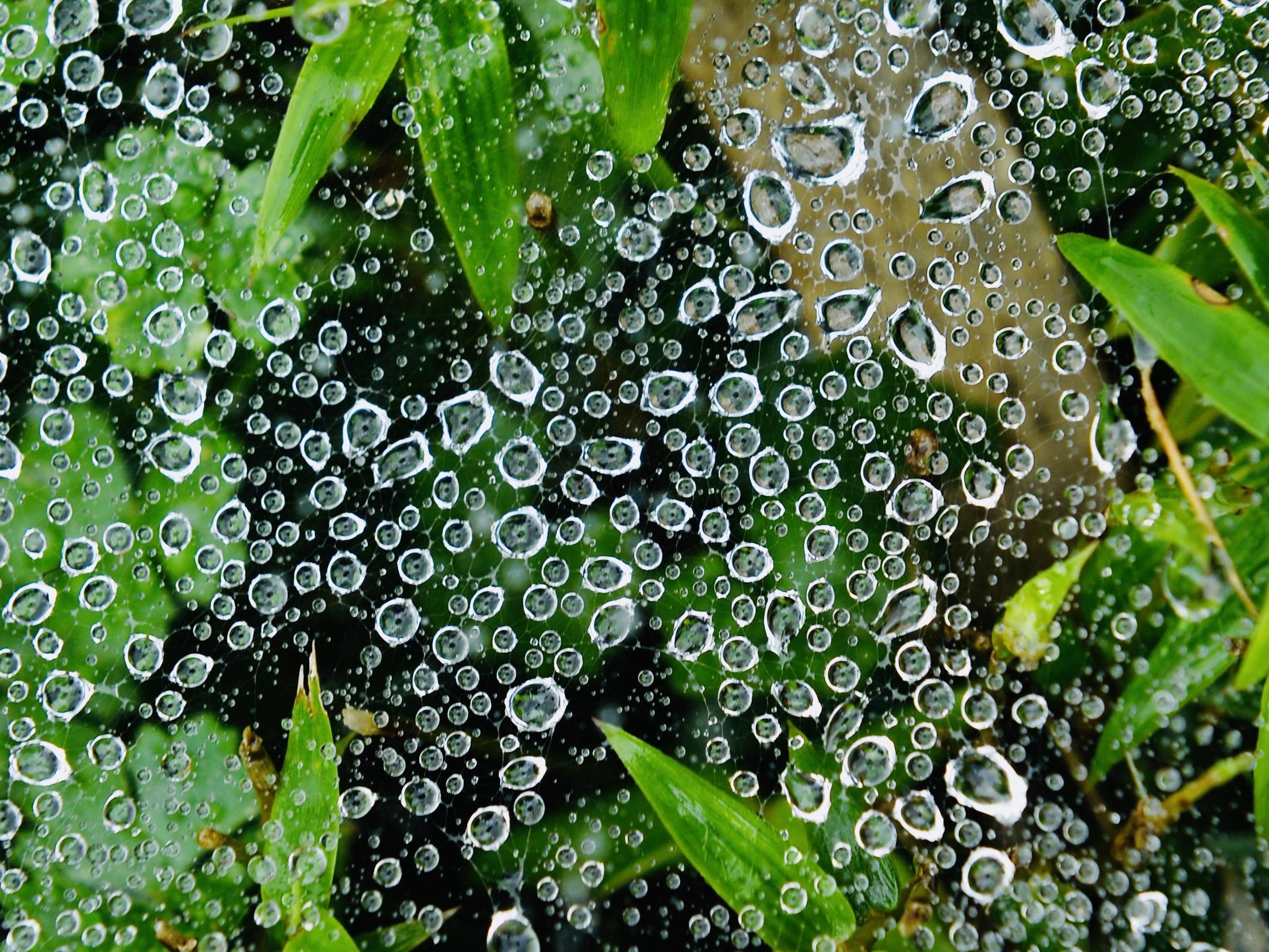 南方阴雨持续局地有大雨 北方雨雪稀少气温明显回升